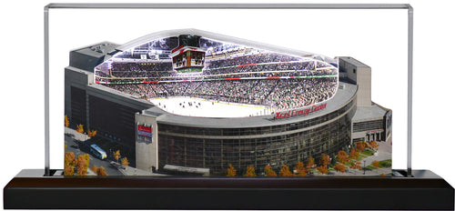 Xcel Energy Center - St. Paul, MN