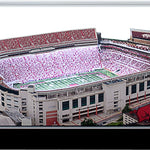 Arkansas Razorbacks - Reynolds Razorback Stadium