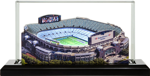 Bank of America Stadium - Charlotte, NC