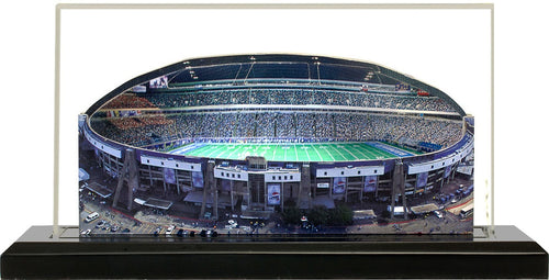 Texas Stadium - Irvine, TX (1971 to 2008)