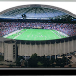 Astrodome - Houston, TX (1968 to 1996)