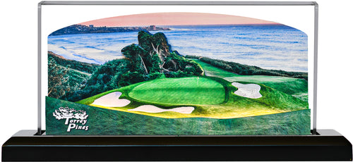 Torrey Pines - North Course - San Diego, CA